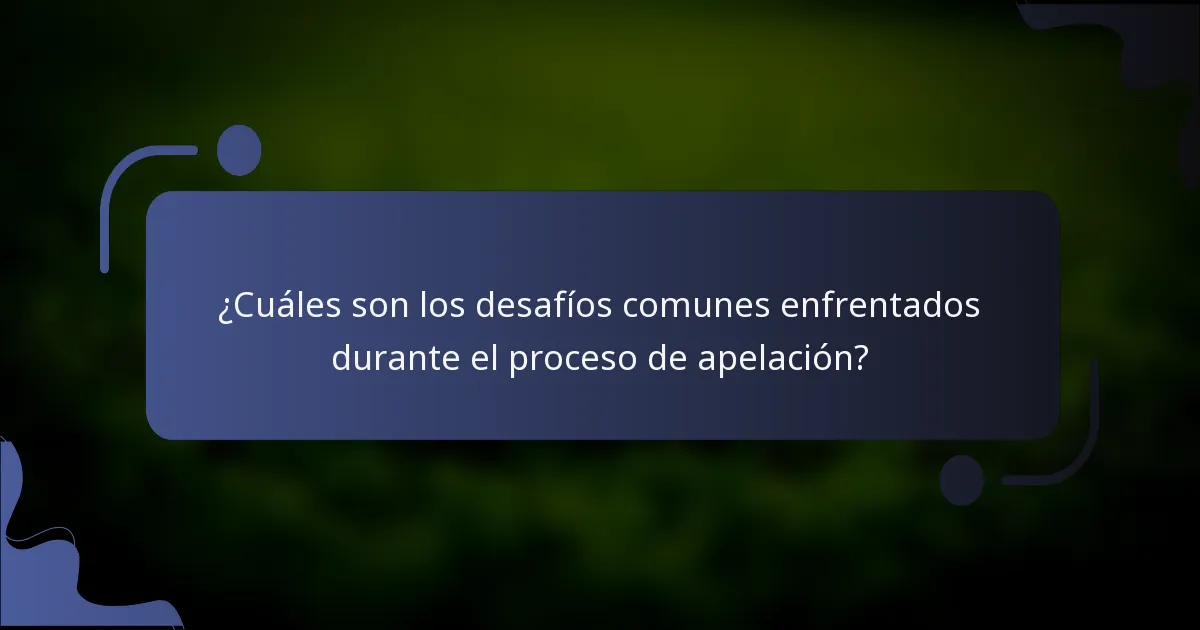¿Cuáles son los desafíos comunes enfrentados durante el proceso de apelación?